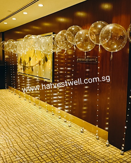 LED Bubble Balloon Singapore